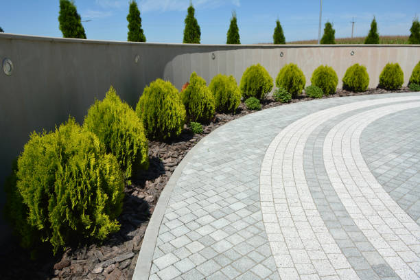 Reasons to Select Us for Your Driveway Paving Requirements in Owosso, MI